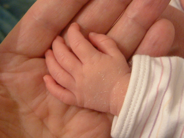 Adult hand child's hand